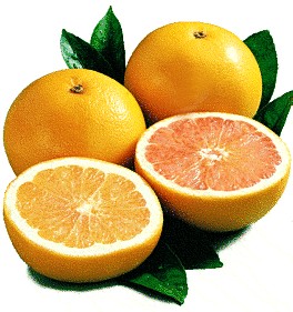 Grapefruit & Lemon Cleanser
