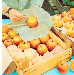 picking and storing apples
